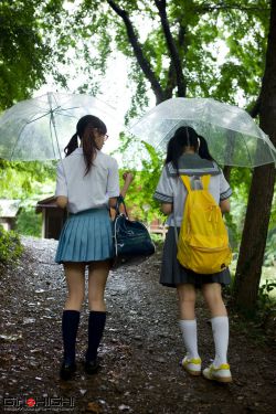 熊出没狂野大陆